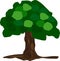 large tree with a spreading green crown, thick trunk, vector drawing