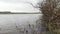 Large trees stand on one shore of the lake, and green meadows spread out on the other. Aquatic vegetation has risen in the water.