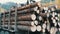 A large truck with a full body of freshly sawn wood. Tree trunks neatly in row. Transportation of timber on a truck on