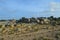 Large Tumbled Stones on the Aruban North Shore