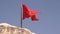 Large Turkey red flag with national symbols waved by wind