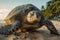A large turtle drags itself onto a beach created with generative AI technology