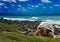 Large turtle at the sea edge.tropical landscape