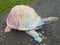 Large turtle or tortoise shell painted on gravel path