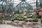 A large variety of cacti growing on the rocks in the greenhouse of the park