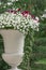 Large vase of classical shape with petunia flowers outdoors, decoration of the garden, outdoor terrace, plants in the interior