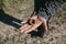 Large walnut shell on man hand