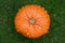 Large, warty orange pumpkin on green grass