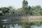 a large water reservoir and rows of trees with yellow fences surrounding