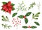 A large watercolor set of greens, twigs and sprigs for decoration of cards, wallpaper or paper for Christmas. Branches of spruce,