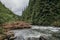 A large waterfall next to a tree