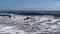 Large waves forming and breaking on the shore of Fire Island New York