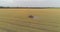 Large wheat field drone view. A tractor sprays a wheat field, a top view. Protecting fields from pests