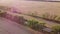 Large wheat fields, road, moving cars trees and pink sun glare on summer evening