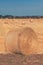 Large wheat stubble hay bales in field in sunset, agriculture and farming concept