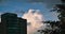 A large white cloud is photographed between the silhouette of the foliage of a tree and a skyscraper in the shade