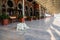 A large white dog lies on the platform of Istanbul`s historic train station. Turkey