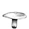 Large white mushroom on white background