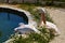 Large white pelican laying on the shore of the pond.