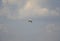 a large white pelican soars in the sky during sunset