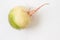 Large white radish. White background.