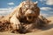 a large white tiger laying on a desert plain in the daytime