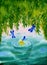 A large willow leaved above water surface with yellow sea-poppy drifting on the waves, flying blue dragonflyes and mermaind tait i