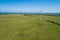 Large wind farm among grazelands in Victoria.