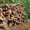 Large Wood Pile In The Summer Forest