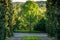 Large, wooden cross on the main path of a cemetery, framed by trees