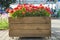 Large wooden pot with flower in outdoor. Large wooden pot with flowers