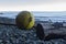 Large yellow buoy washed up on beach