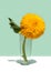 A large yellow decorative sunflower in a glass vase on a mint color background. Low angle view, below the eye line. Creative