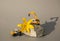 Large yellow lily flower between two toy models of construction excavators