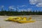 Large yellow Pedal Boat and kayak tied on beach