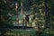 Largest Elk, Wapiti with horn walking in deep forest at Jasper national park