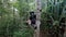Largest living lemur Indri, Indri Indri