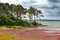 largest water reservoir of Mauritius.Landscape in a sunny day