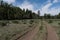 The Largo trail near Quemado lake, New Mexico