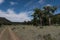 The Largo trail near Quemado lake, southwest N.M