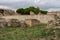 Larino, Campobasso, Roman archaeological site on the modern building background, on a sunny day