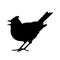 A lark stands and sings. Isolated vector silhouette