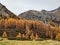 larks forest in sertig valley in davos switzerland. Hiking in the canton of Grisons. Beautiful autumn mountain landscape