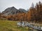 larks forest in sertig valley in davos switzerland. Hiking in the canton of Grisons. Beautiful autumn mountain landscape
