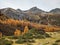 larks forest in sertig valley in davos switzerland. Hiking in the canton of Grisons. Beautiful autumn mountain landscape