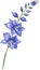 Larkspur flower, Watercolor painting of a larkspur flower. AI-Generated.