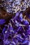 Larkspur petals