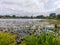 Larsen Lake Blueberry Farm