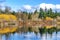 Larsen Lake Reflection Duck Blueberry Farm Park Bellevue Washington