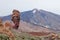 Las Canadas del Teide volcano and Garcia Roques, Tenerife, Spain